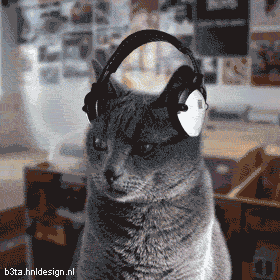 A los perros y gatos les gusta escuchar música