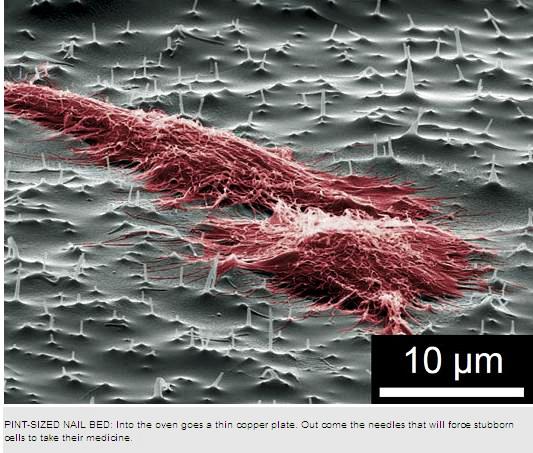 Inventan nano-agujas para inyectar células individuales
