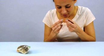 Inventan una grabadora de olores