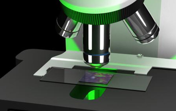 Logran que un microscopio convencional entregue imágenes de alta resolución