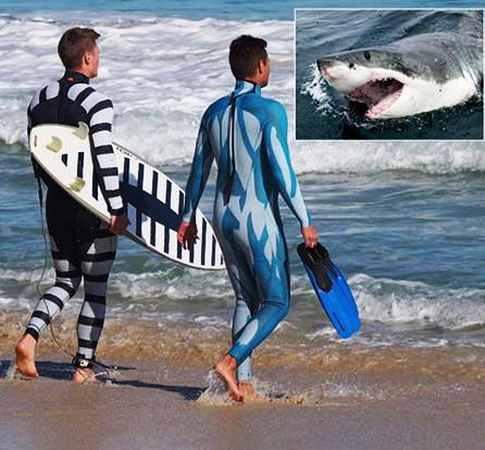 Desarrollan traje de invisibilidad para buceadores y surfistas, contra tiburones