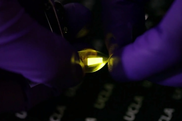 Utilizando nanocables de plata y una diminuta pantalla OLED encerrada en plástico de goma, investigadores de UCLA han desarrollado la pantalla OLED más flexible del mundo.