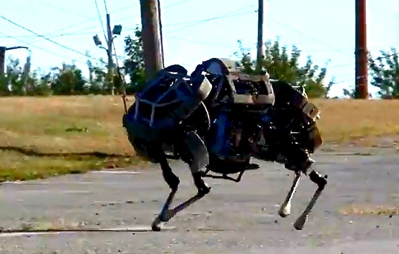 El robot gato montés que corre a 25 Km por hora