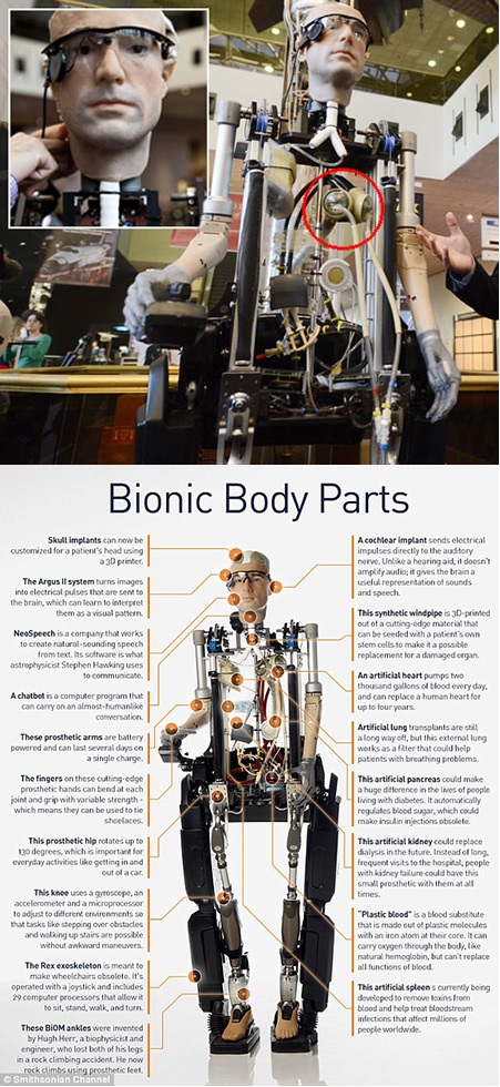 Robot biónico con corazón, pulmones y páncreas artificiales
