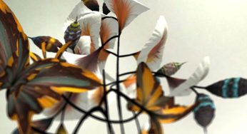 Estas flores son realmente código de modelos matemáticos