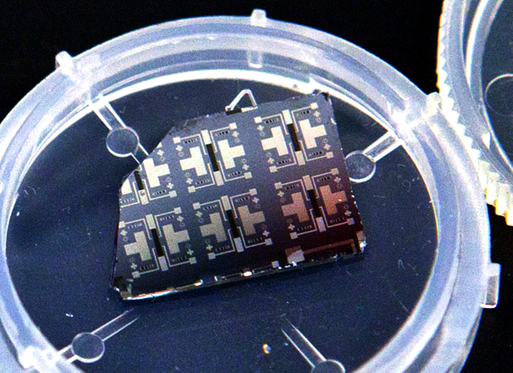 Transistor sináptico, como el cerebro aprende mientras trabaja