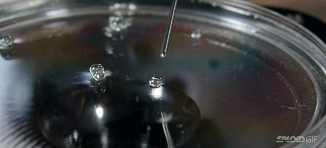 Por qué estas gotas de agua flotan sobre agua?