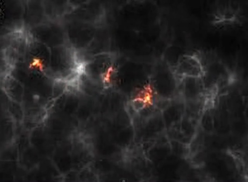 En video se ve cómo se comunican las neuronas
