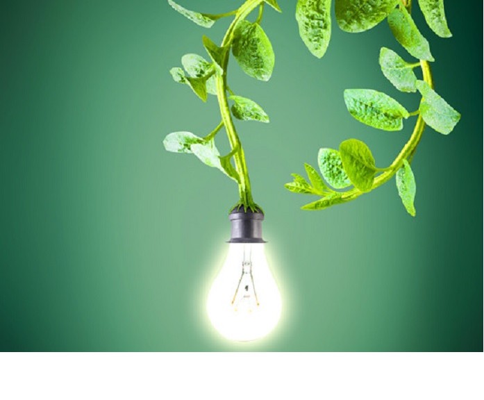 Generan electricidad de plantas vivientes para energizar alumbrado público