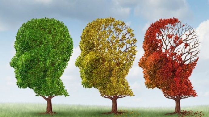 El riesgo de sufrir alzhéimer y párkinson podría detectarse en la piel