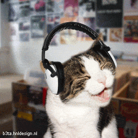 Diseñan música para gatos