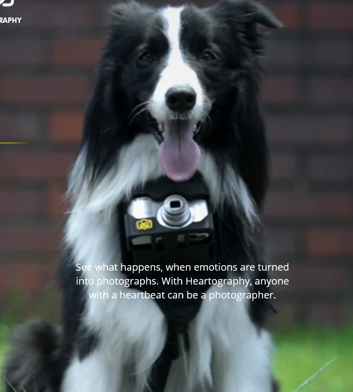 Estuche de cámara que toma fotos cuando su perro está feliz