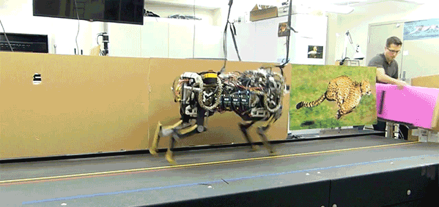 Robot guepardo capaz de saltar obstáculos de forma autónoma