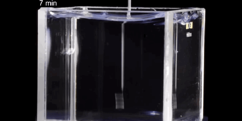Impresora 3D crea estructuras en gel y podría ayudar a construir órganos