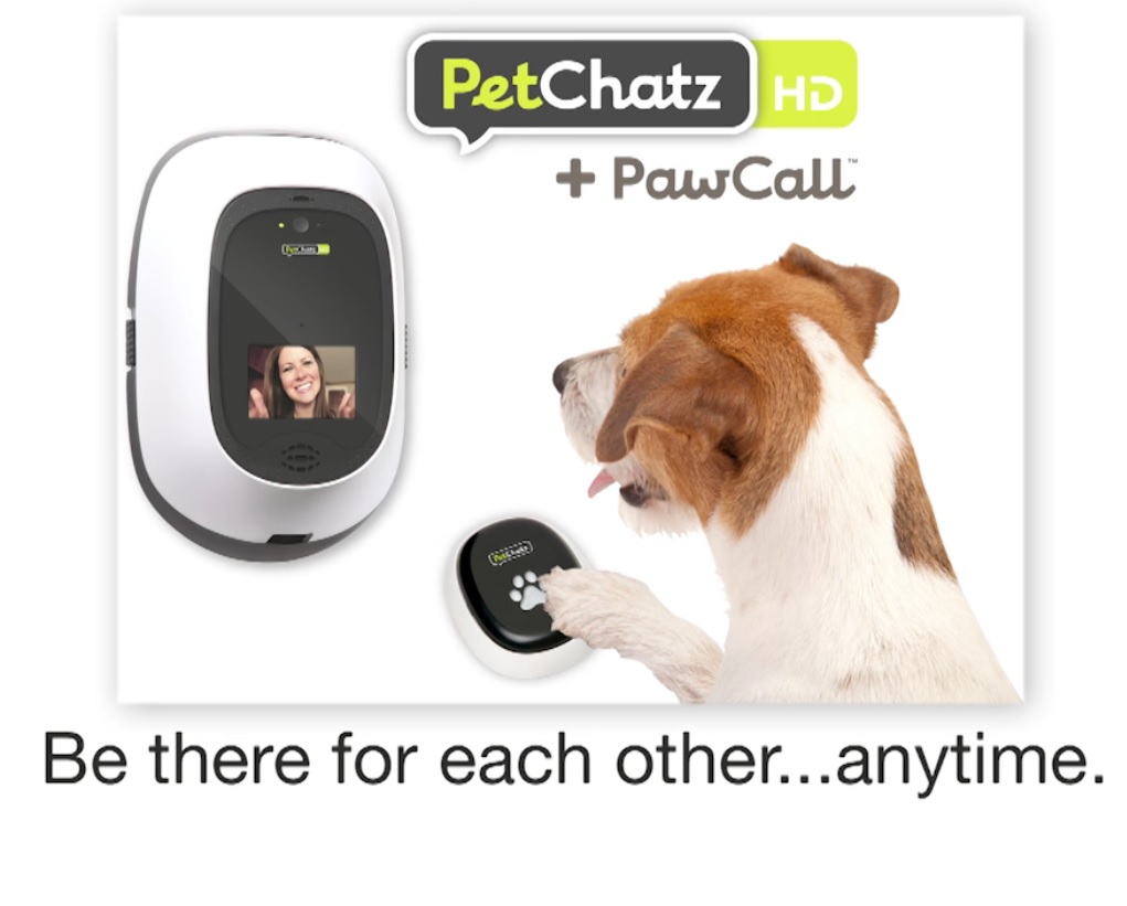 Han inventado el Skype para mascotas
