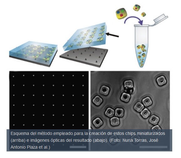 Chips miniaturizados para detectar enfermedades desde el interior de células vivas