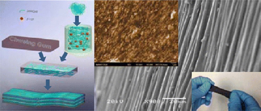 Convierten chicle en sensor con nanotubos de carbono