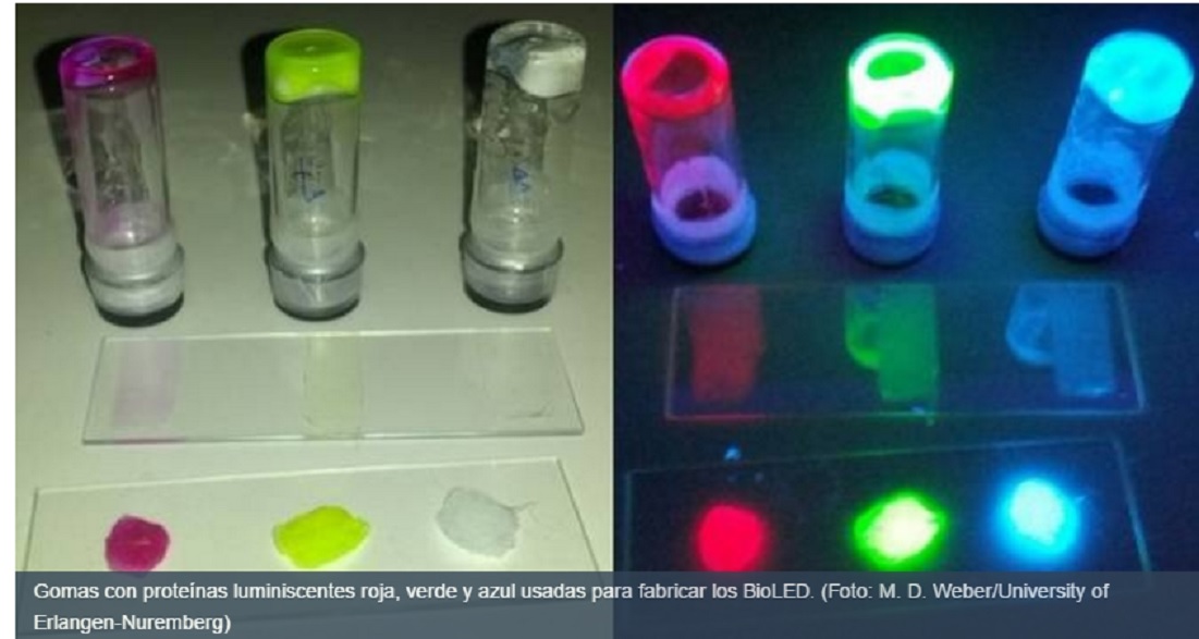 Desarrollan un LED ´biológico´hecho con proteínas