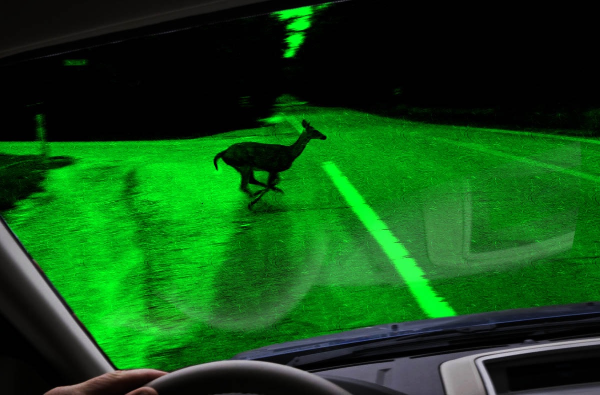 El grafeno podría llevar la visión nocturna a teléfonos y autos
