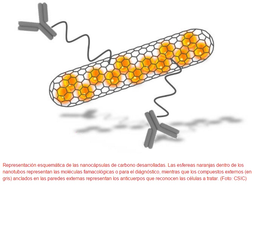 Nanocápsulas de carbono contra el cáncer