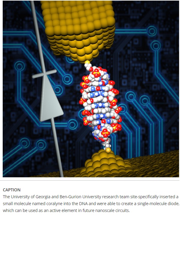 Investigadores han fabricado el diodo más pequeño usando una molécula de ADN