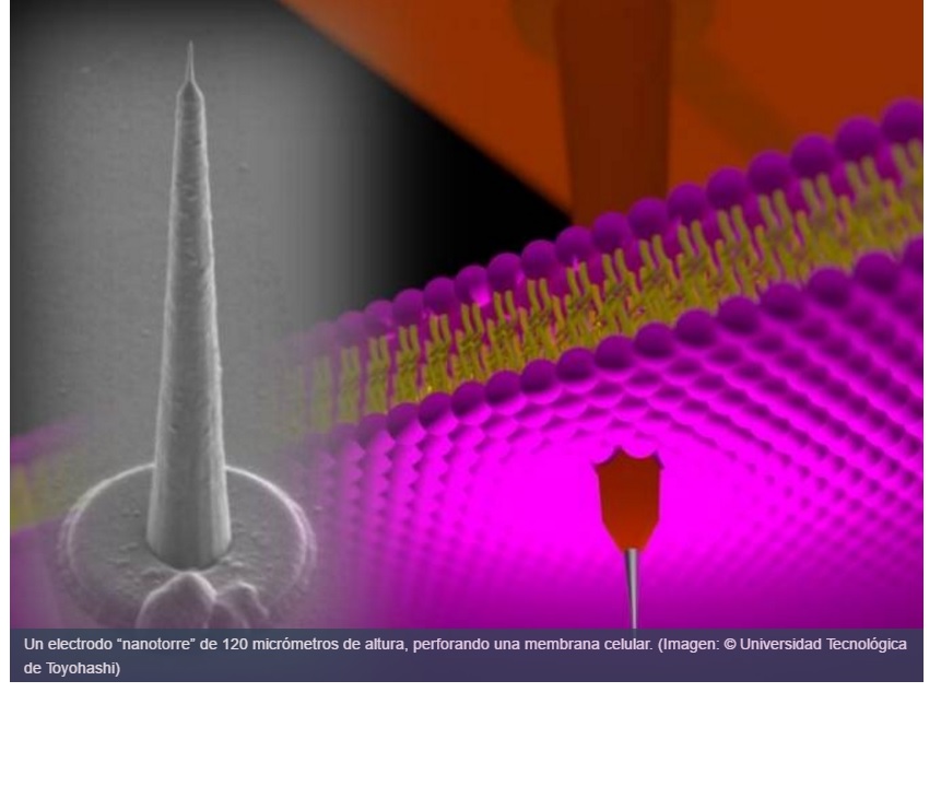 Grabaciones intracelulares mediante nanoelectrodos