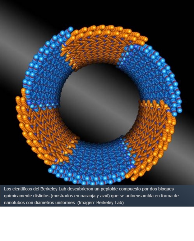 Nanotubos inspirados en la naturaleza y capaces de autoensamblarse con precisión