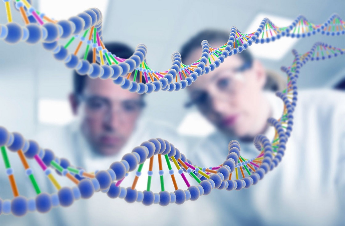 Investigadores crean una imagen especular de la proteína que copia el ADN