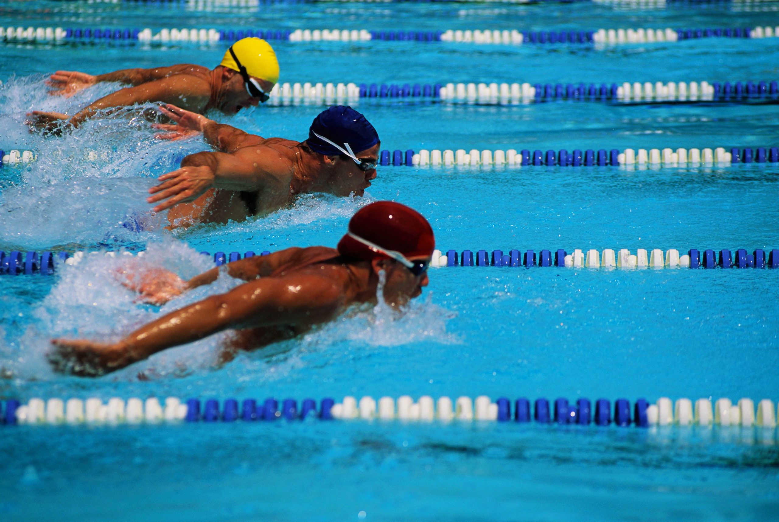 Microsoft quiere que nade en contra de nadadores virtuales
