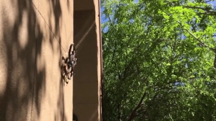 Vea a este dron pegarse a paredes y techos como un insecto