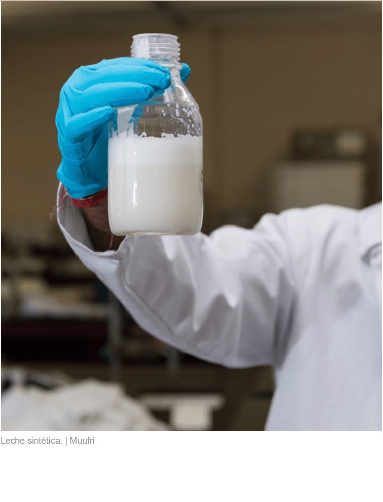 Muchas vacas quedarán desempleadas con la llegada de la leche sintética