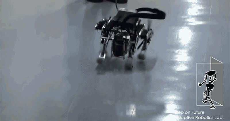 Este puede ser el primer perro Chihuahua robot del mundo