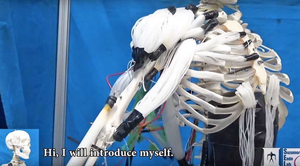 Investigadores crean robot esqueleto con músculos similares a los humanos