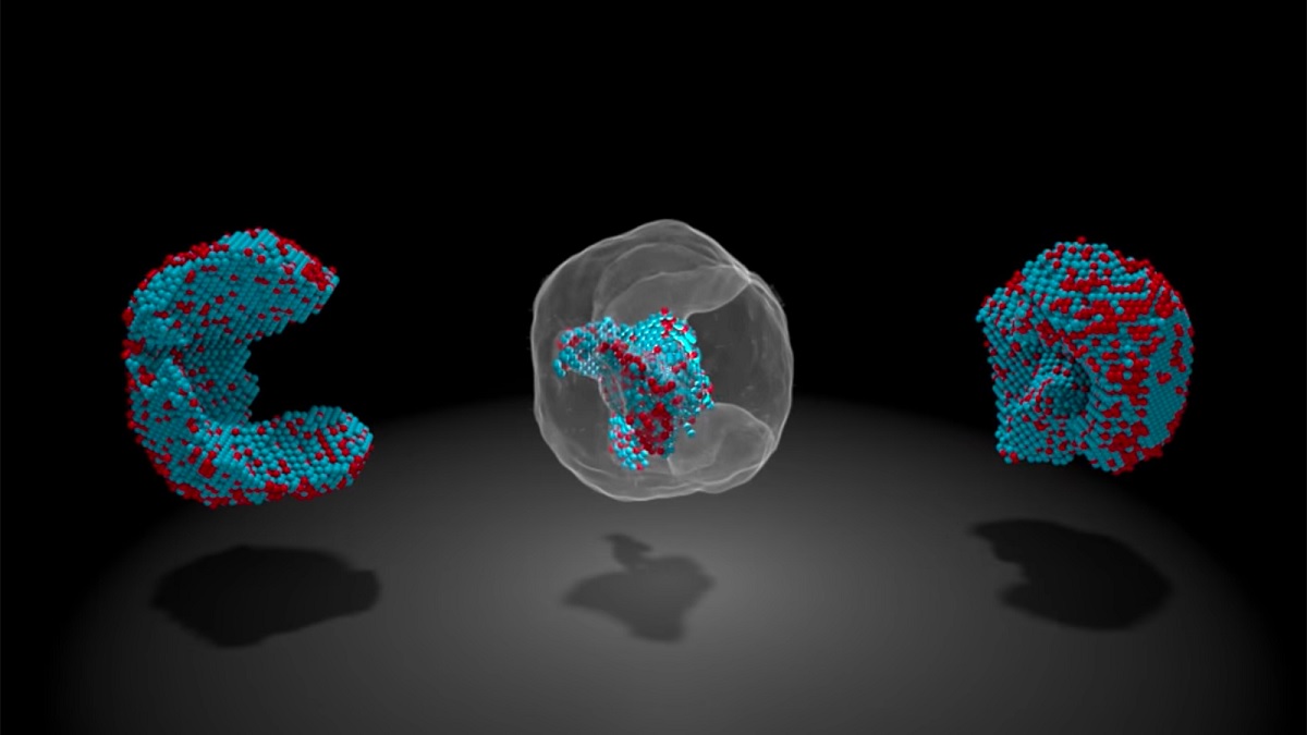 Científicos mapean cada átomo dentro de una nanopartícula