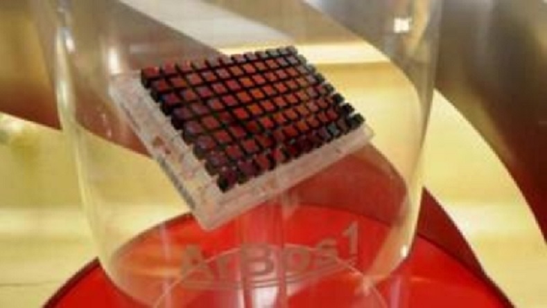 Desarrollan un chip de ADN para mejorar la producción bovina