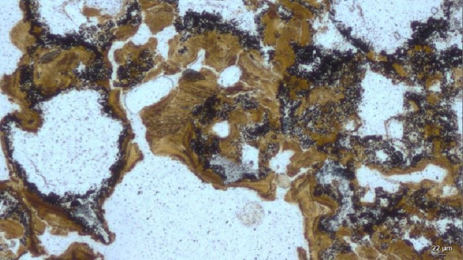 Encuentran la evidencia más antigua de vida en la Tierra