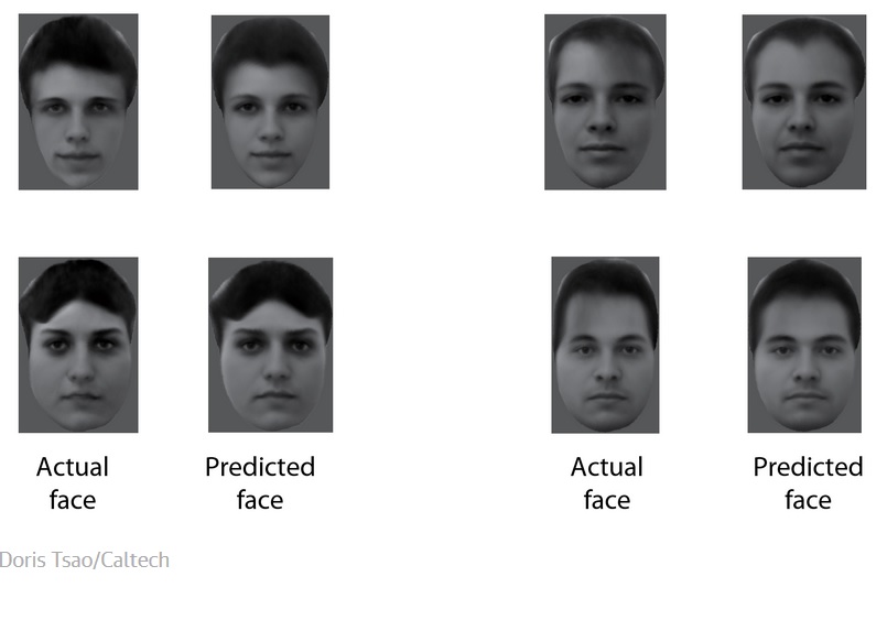 Los científicos ahora saben cómo su cerebro diferencia los rostros