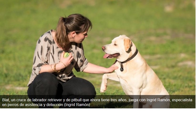 Blat, el perro capaz de diagnosticar un cáncer de pulmón gracias a su olfato