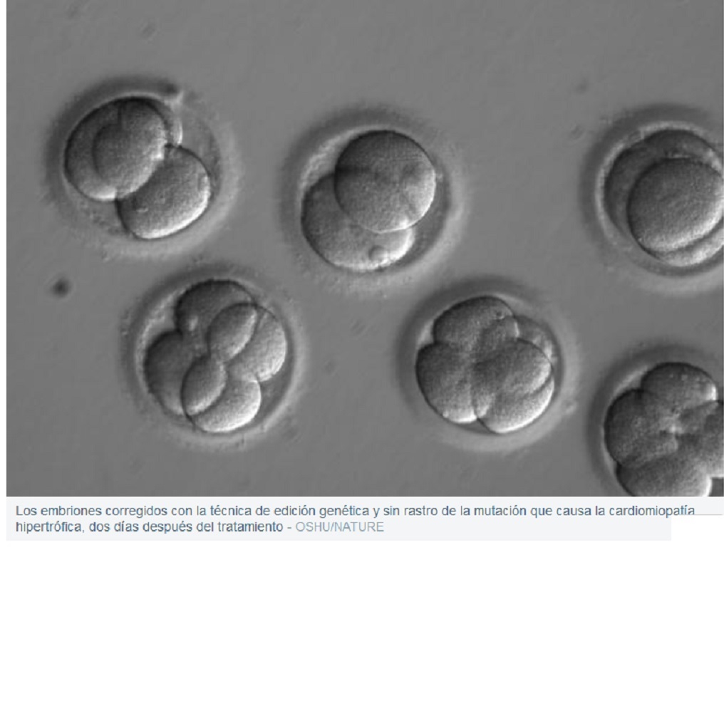 Borran por primera vez una grave enfermedad hereditaria en un embrión humano