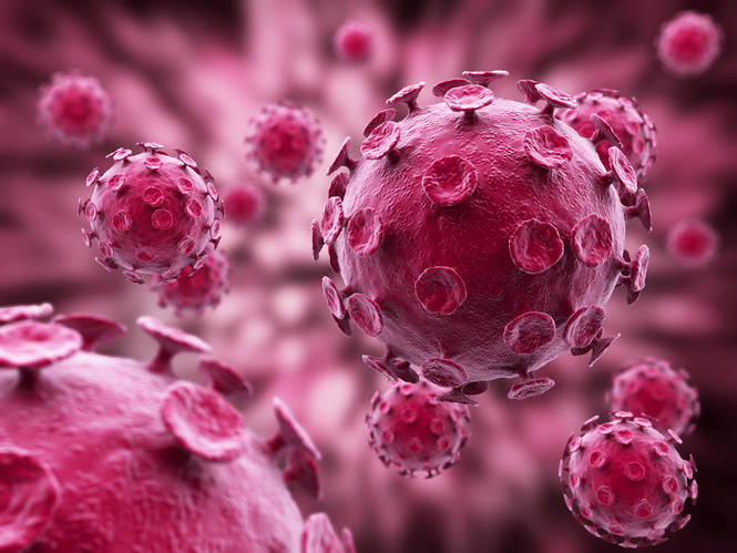 Un nuevo anticuerpo ataca al 99 % de las cepas del virus VIH
