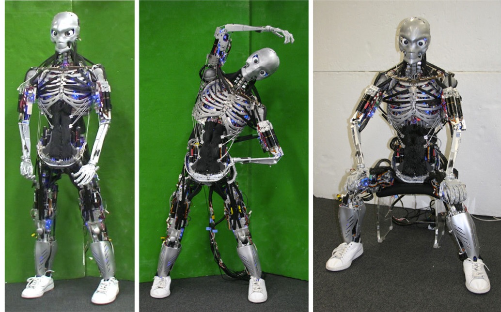 Crean robots que hacen flexiones y 