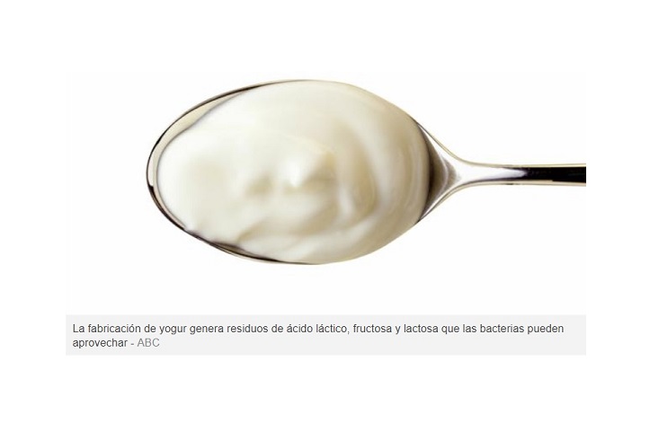 Consiguen que bacterias conviertan yogur en combustible