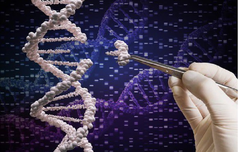 Inteligencia artificial para lograr que la edición genética CRISPR sea más precisa