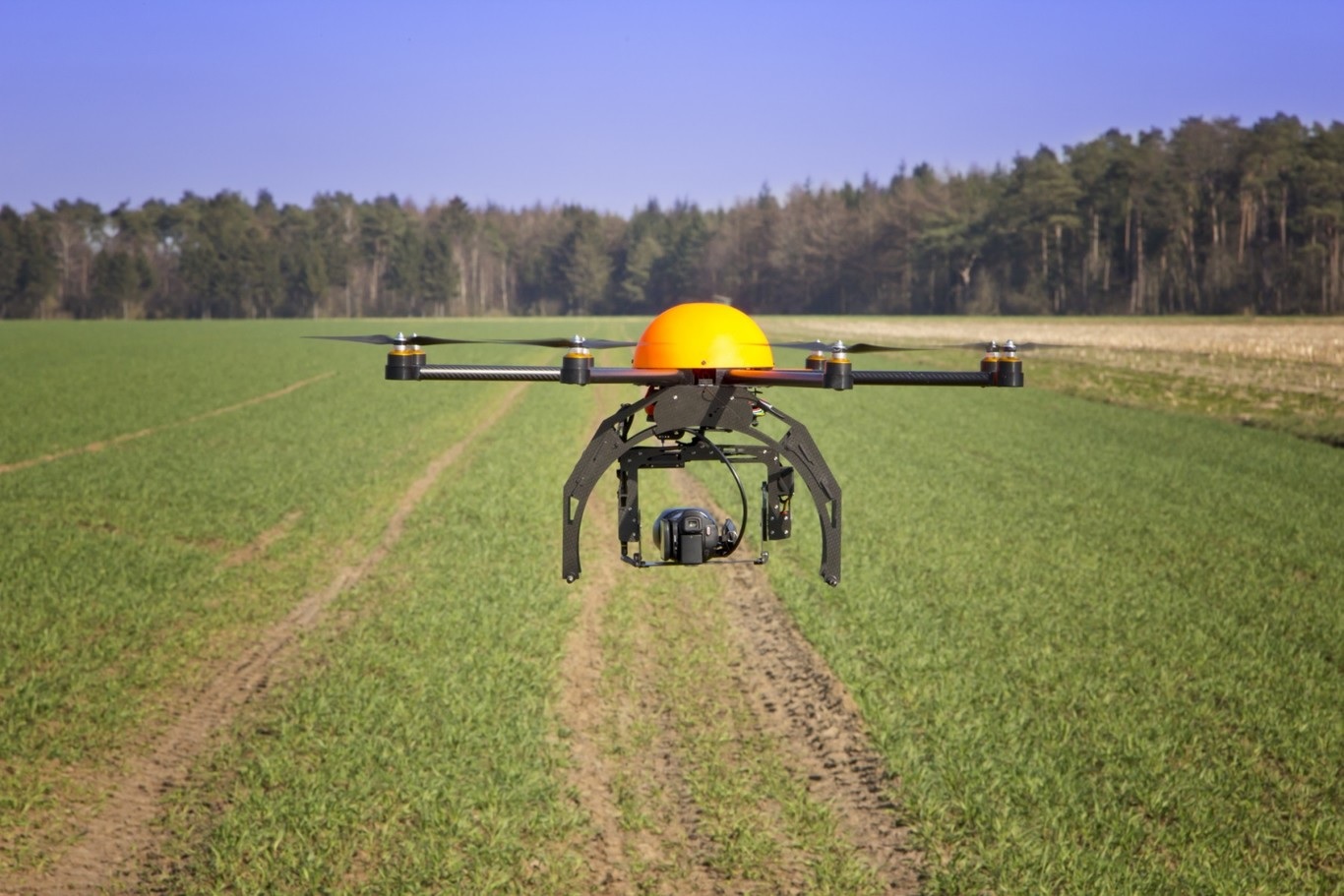 Drones para plantar 100.000 árboles en una hora