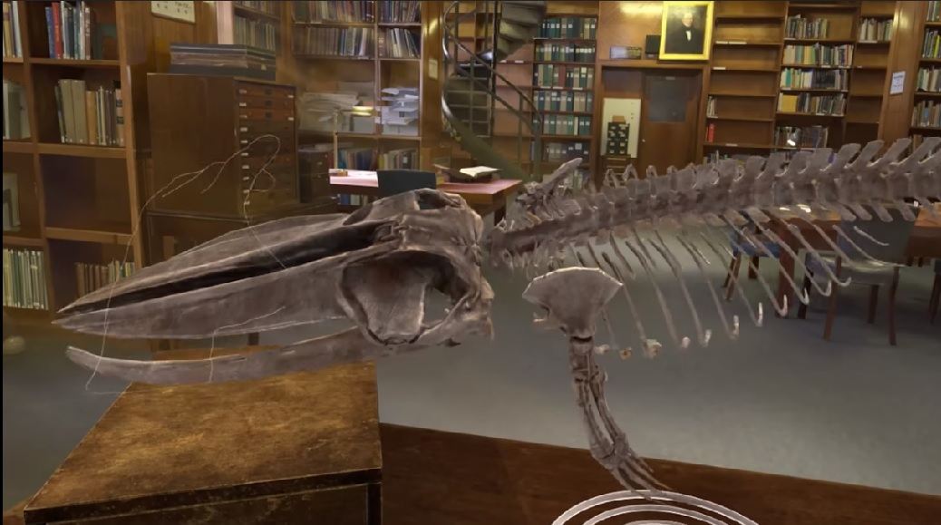 El Museo de Historia Natural de Londres en realidad virtual
