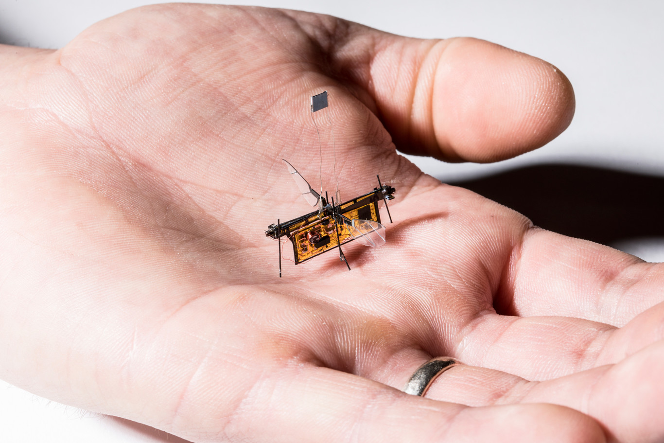 Este minúsculo insecto robot ya es capaz de volar sin batería