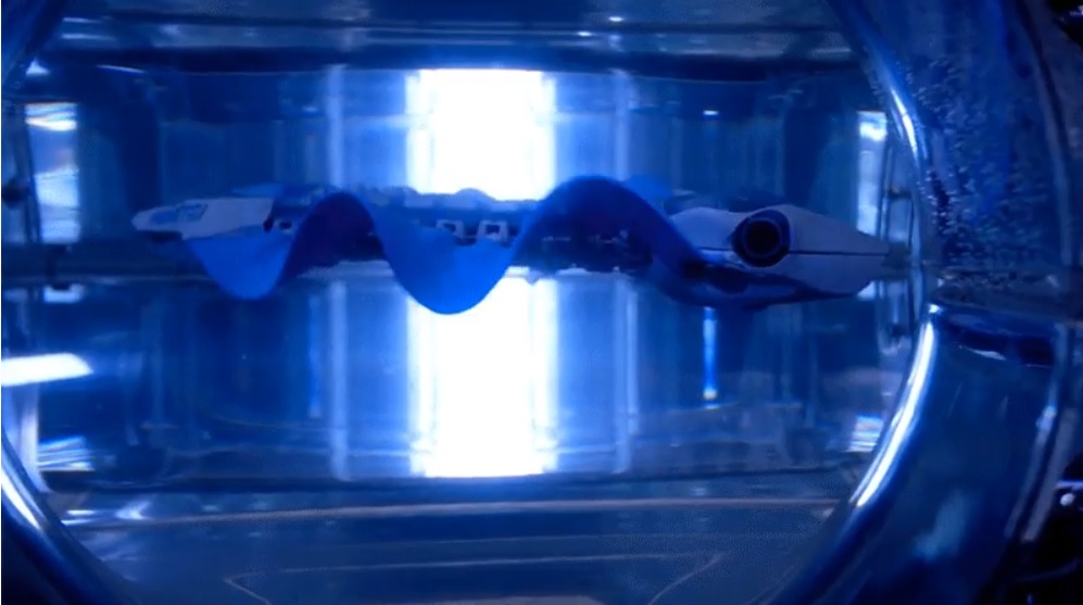Robot submarino autónomo con aletas biónicas