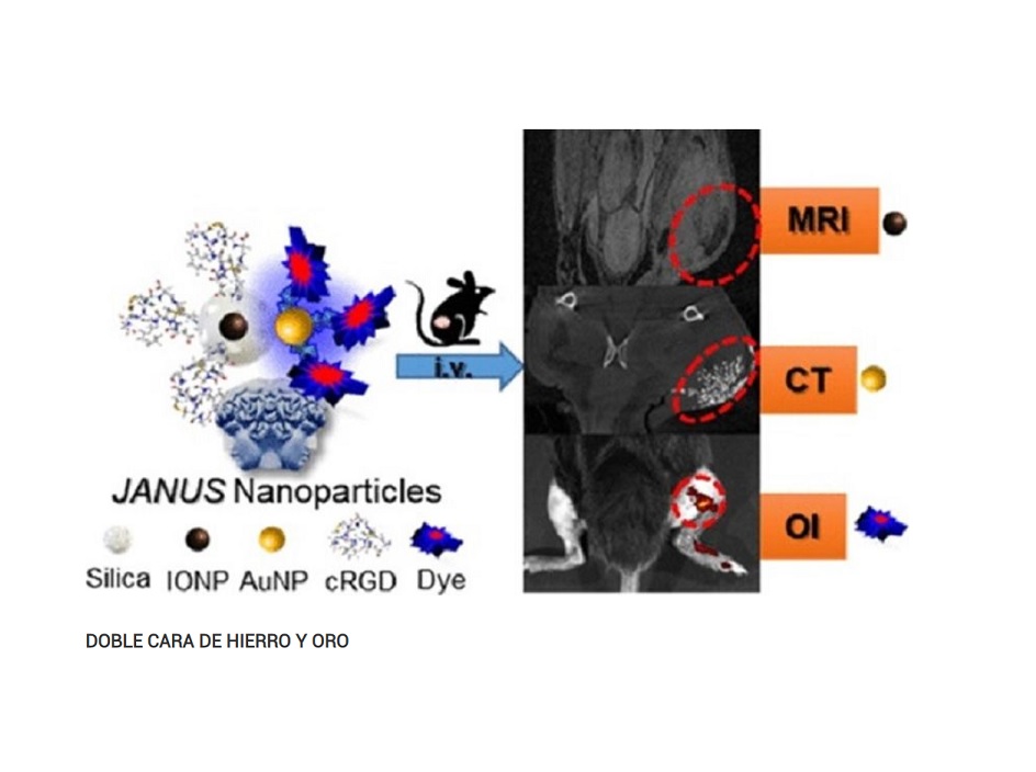 Nanoplataforma integra tres modalidades de imagen molecular para el diagnóstico de tumores