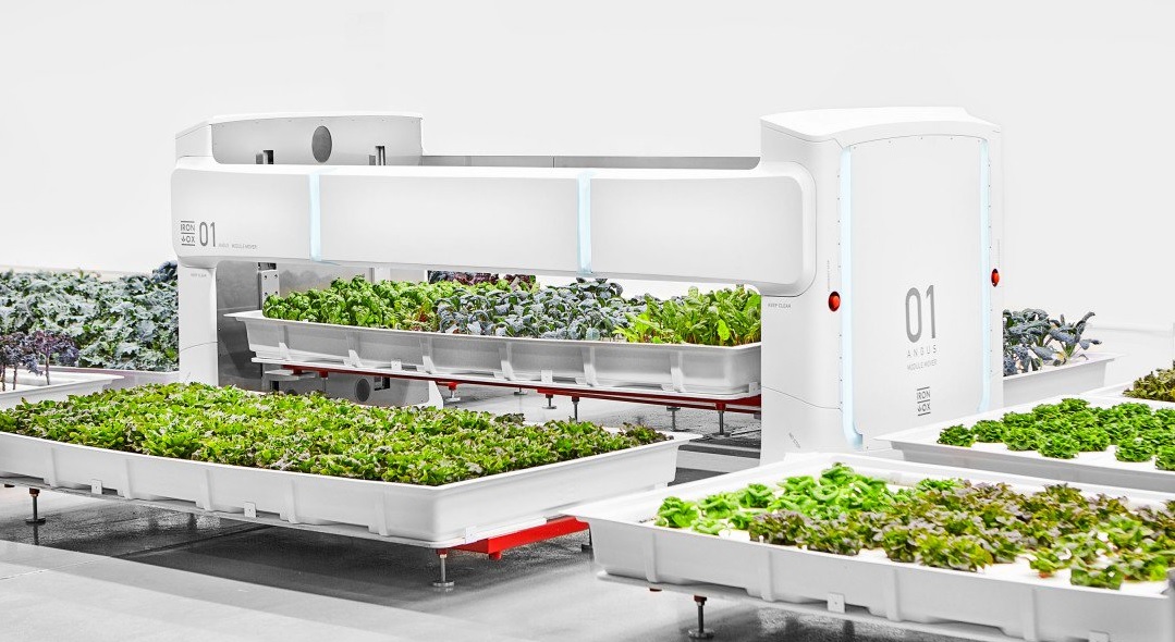 Nueva granja autónoma quiere producir alimentos sin trabajadores humanos