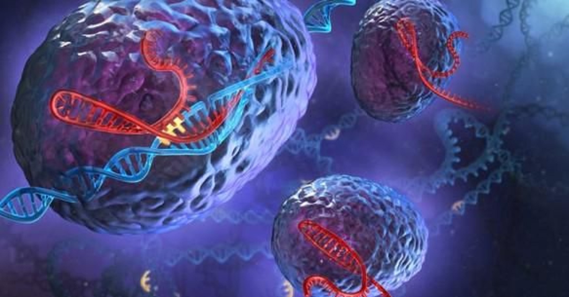 DISEÑAN UN NUEVO SISTEMA CRISPR PARA LA EDICIÓN DEL ADN